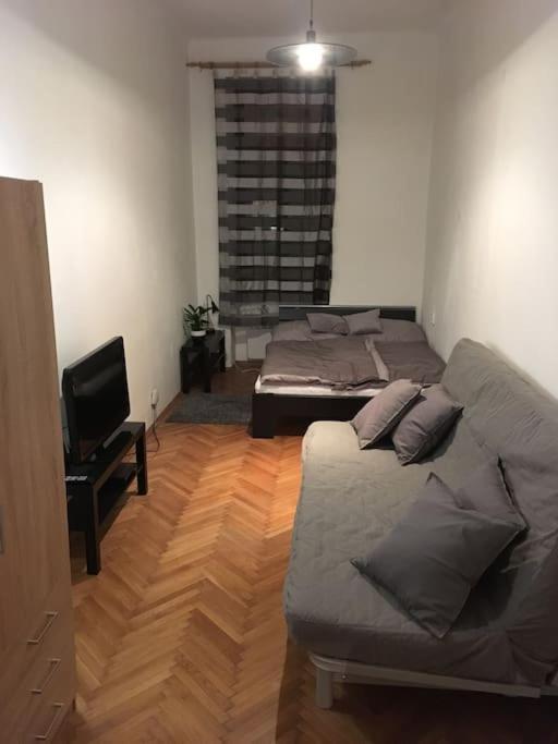 Utulne Ubytovani U Centra V Blizkosti Vystaviste Brno Exterior foto